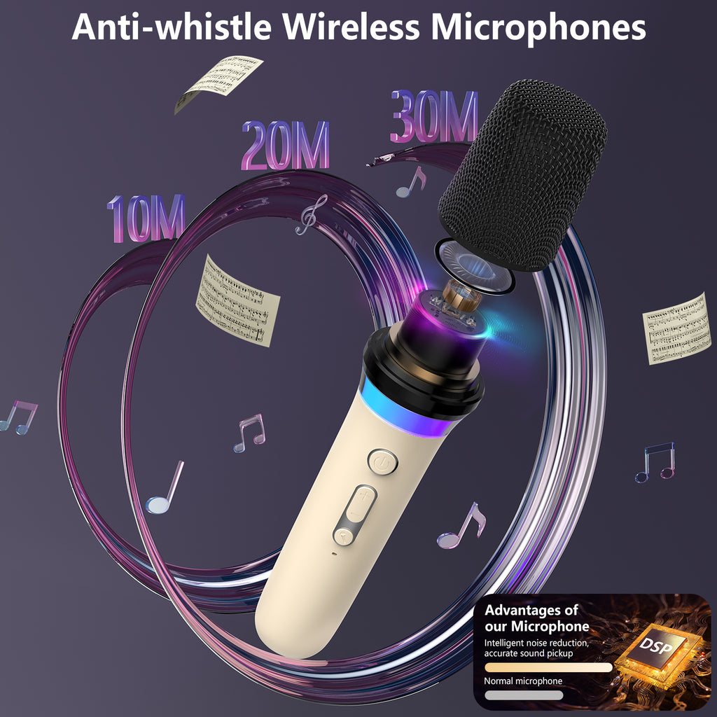 JYX D30 Karaoke With 2 Microphones&Bluetooth Speaker