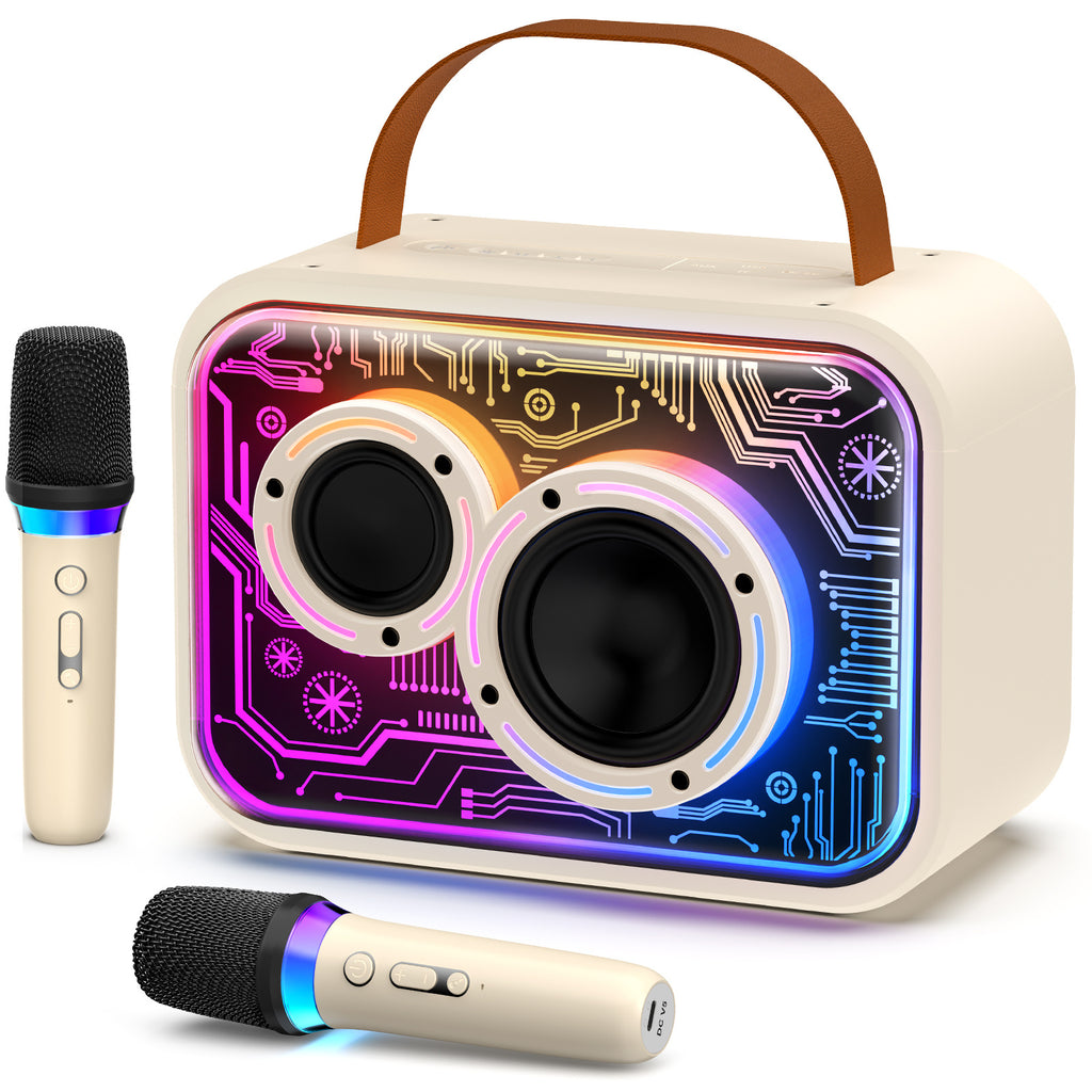 JYX D30 Karaoke With 2 Microphones&Bluetooth Speaker