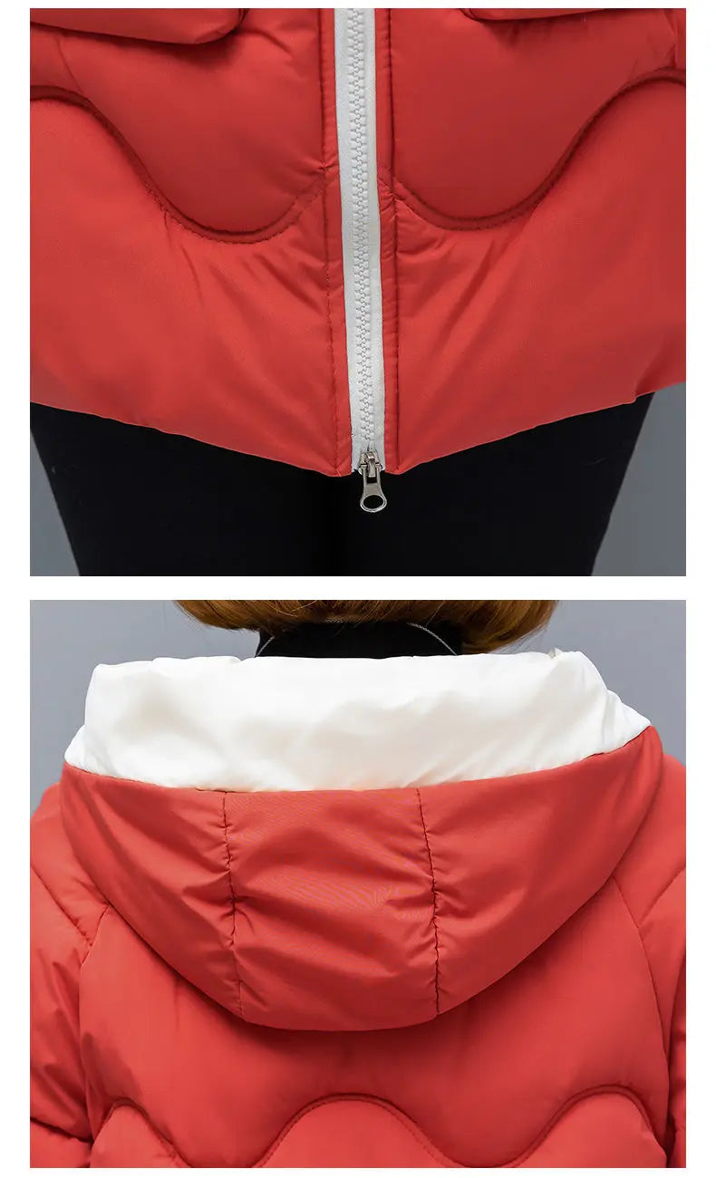 Long Winter Jacket Women Down Cotton Coats 2024 New Cotton Padded Puffer Parka Coat Women Hooded Outwear Thicken Warm Jacket 4XL