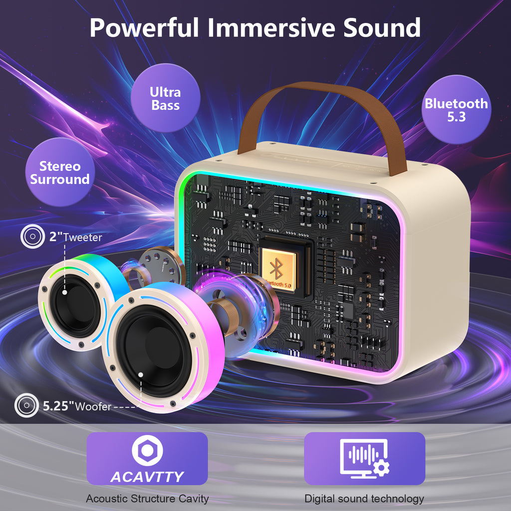 JYX D30 Karaoke With 2 Microphones&Bluetooth Speaker